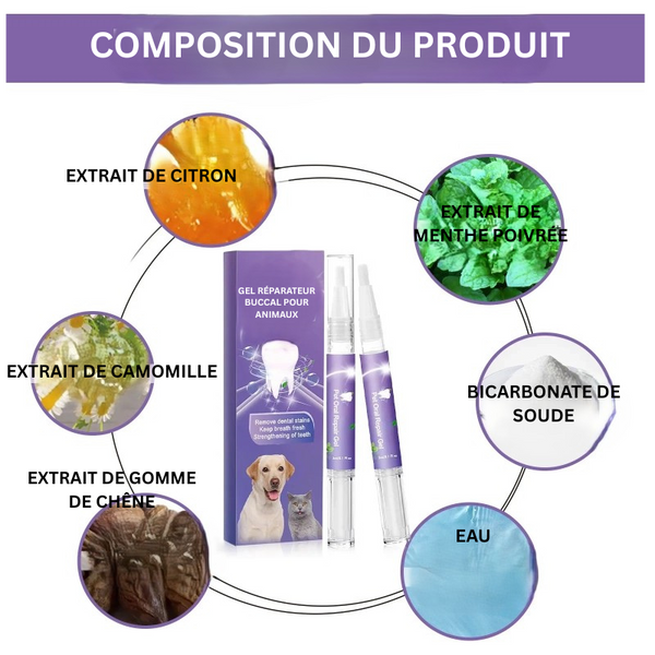 Gel Réparateur Buccal pour Animaux – Soin Complet pour Chiens & Chats
