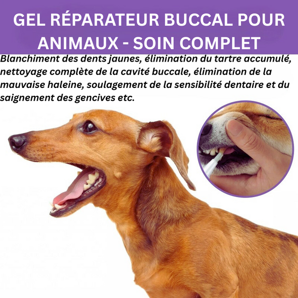 Gel Réparateur Buccal pour Animaux – Soin Complet pour Chiens & Chats
