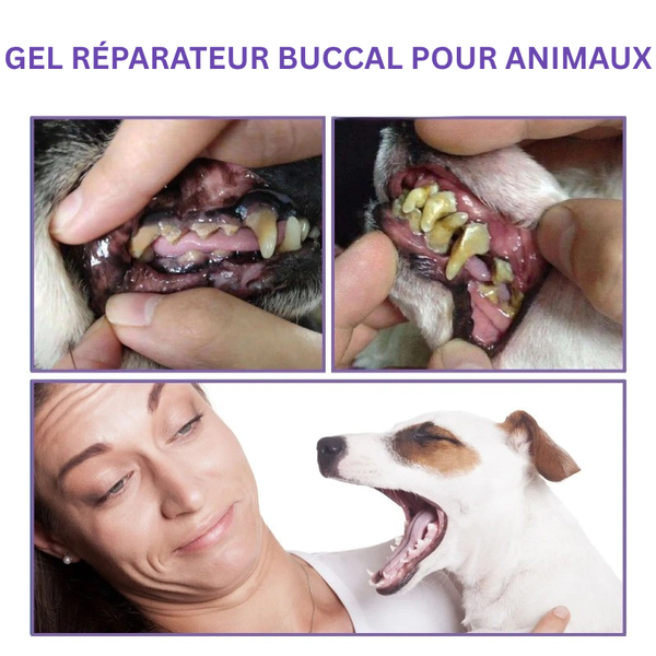 Gel Réparateur Buccal pour Animaux – Soin Complet pour Chiens & Chats