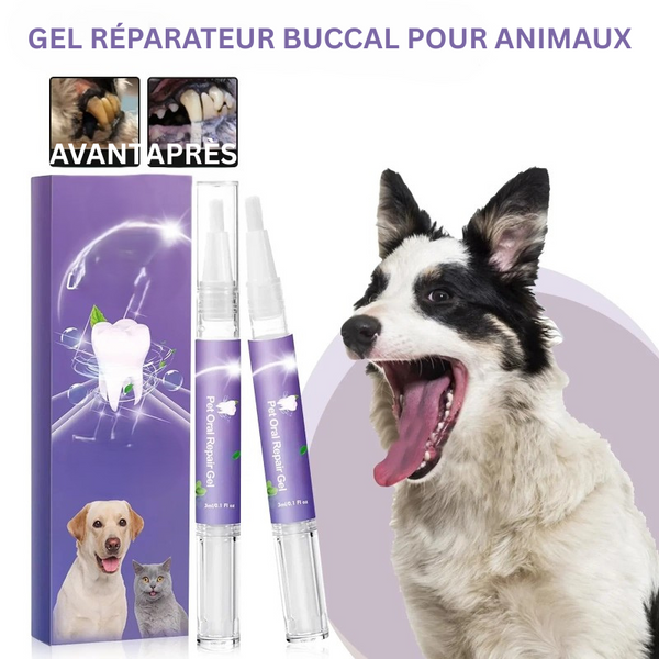 Gel Réparateur Buccal pour Animaux – Soin Complet pour Chiens & Chats